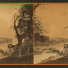 Wire bridge, Fairmount.