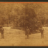 Fairmount Park, Philadelphia.