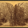 Philadelphia. Foot Path, Fairmount Park,