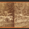Fairmount Park.