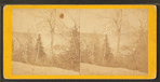 View of Fairmount Park in winter.