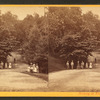 The Drive, Lemon Hill.