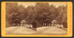 The Drive, Lemon Hill.