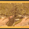 Sweet Brier [Sweetbriar] Valley.