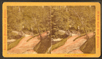 Sweet Brier [Sweetbriar] Valley.