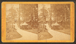 The "Spring" and deer paddock from "Solitude."