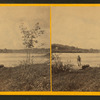 The River Schuylkill. Coroner of the Fairmount Waterworks, Phila., Pa., inquest of dead cattle.