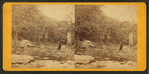 Near Red Bridge Mill. Wissahickon Creek, near Philadelphila, Pa.