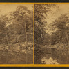 Lovers' Leap, Wissahickon Creek.