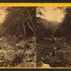 Stong Run. Wissahickon Creek, near Philadelphia, Pa.