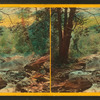 Devil's Bath, Cressom Creek. Wissahickon Creek.
