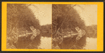 The Wissahickon below Roosley's Mills.