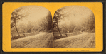 View on the Wissahickon.