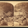 Stereoscopic views of Wissahickon Creek, Philadelphia.