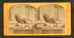Sculpture "The dying lioness."