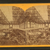 Horticultural Hall, interior.