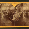 Horticultural Hall, interior.