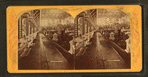 Horticultural Hall, interior.