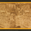 Mrs. Maxwell's Rocky Mountain Museum series, Colorado building.
