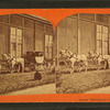 General Washington's carriage.