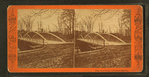 King Iron Bridge, Centennial Grounds.