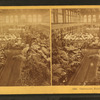 Centennial, Horticultural Hall.