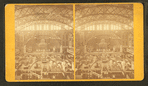Centennial Exhibition, Philadelphia.