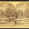 Centennial ground from [...].