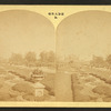 Fountain Avenue.