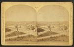 Bird's-eye view from M.B. [Main building].