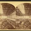 Horti[cultural] Hall, from E. gallery.