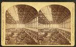 Horti[cultural] Hall, from E. gallery.