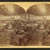 Horti[cultural] Hall, from W. gallery.