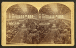 Horti[cultural] Hall, from W. gallery.