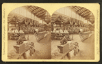 War canoe and models, U.S. Gov't building.