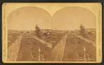Fountain Avenue, from Horti[cultural] Hall.