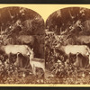 Mrs. Maxwell's Rocky Mountain Museum series, Colorado building.