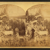 Mrs. Maxwell's Rocky Mountain Museum series, Colorado building.