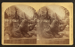Sea lions, U.S. Government building.