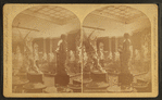 Italian dept., Memorial Hall, Annex.