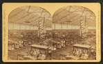 M.B. [Main building], from E. Gallery.