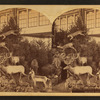 Mrs. Maxwell's Rocky Mountain Museum series.