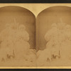 Aged couple seated