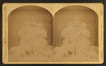 Aged couple seated