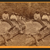 A log of Bucks.