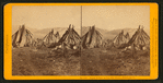 Digger Indians, at Ten Mile River. - Mendocino Co.