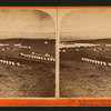Headquarters on Lake Tule, taken N.E. from Bluff.