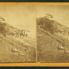 Group of men on beach.