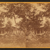 View of a home and a cart in front.