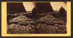 View near Purgatory, Newport, R.I.